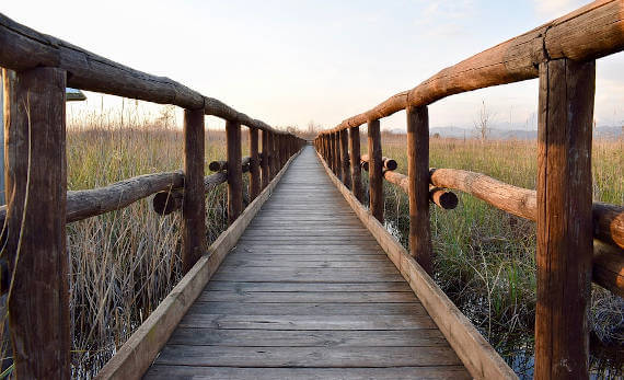 Escursione al Lago di Massaciuccoli