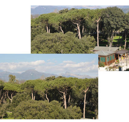 Hotel a Viareggio vicino la Pineta di Ponente